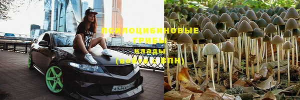 эйфоретик Армянск