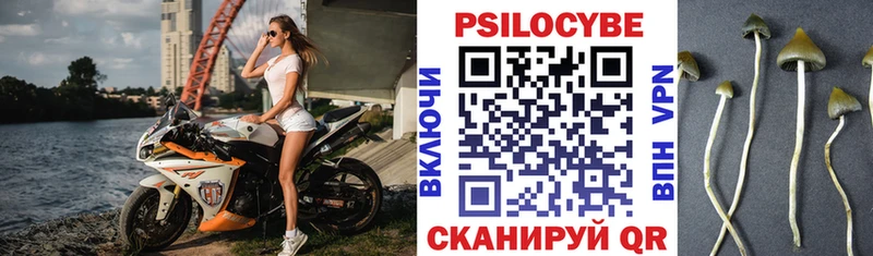 Псилоцибиновые грибы GOLDEN TEACHER  даркнет сайт  Чапаевск 